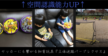 【空間認識能力UP】サッカーにも繋がる知育玩具『立体迷路パープレクサス』