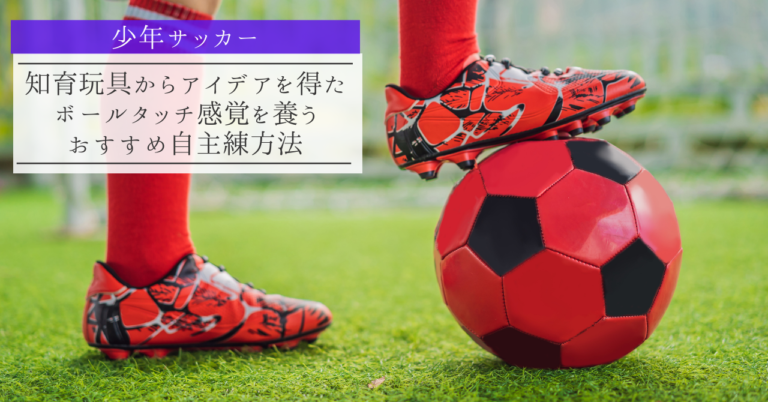 少年サッカー 知育玩具からアイデアを得た ボールタッチ感覚を養うおすすめ自主練方法
